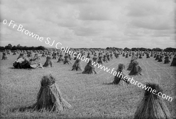 THRESHING AT ST MARYS